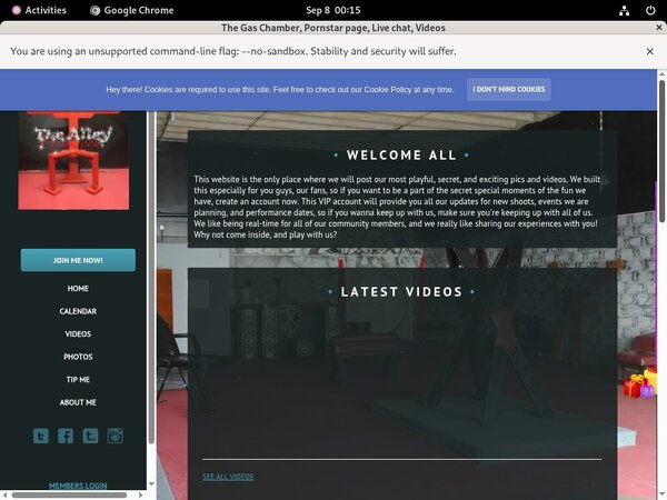Accounts On Thealleywynwood.modelcentro.com