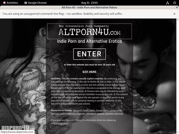 Altporn4u Discount Review