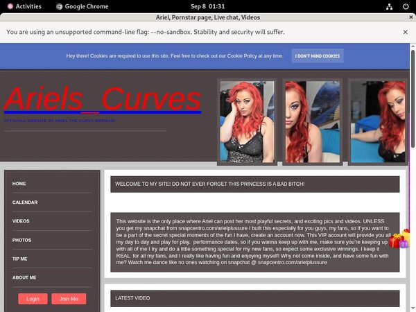 Ariel Discount Trial Offer