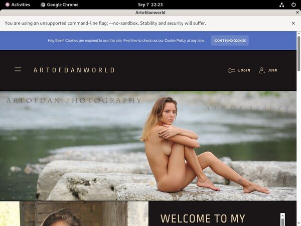 Artofdan Free Accounts