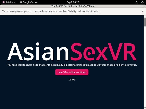 Asian VR Sex Live Cams