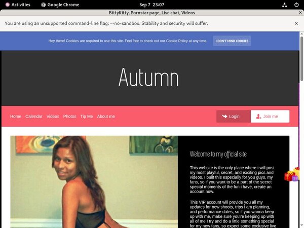 BittyKitty Discount Deal