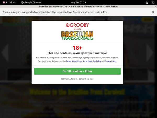 Brazilian Transsexuals Passwords