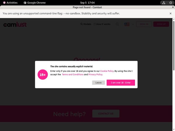 Camlust.com Free Accounts And Passwords