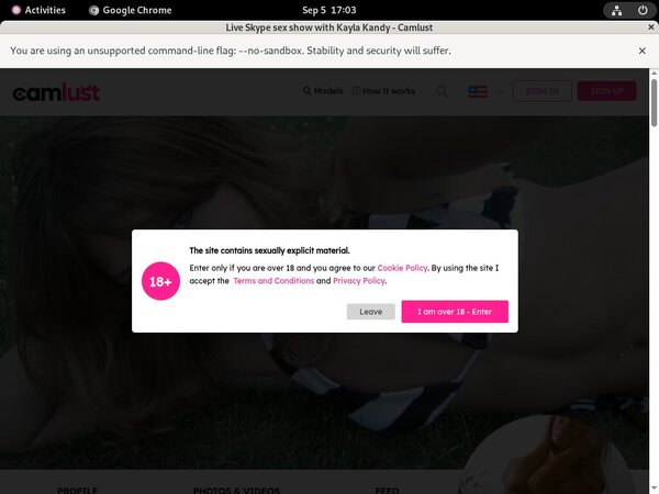 Camlust.com Real Passwords