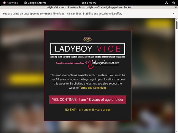 Cracked Ladyboy Vice Account