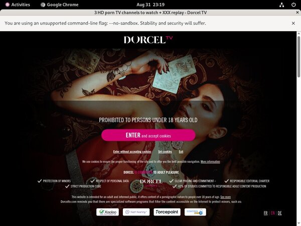 Dorceltv Login Info