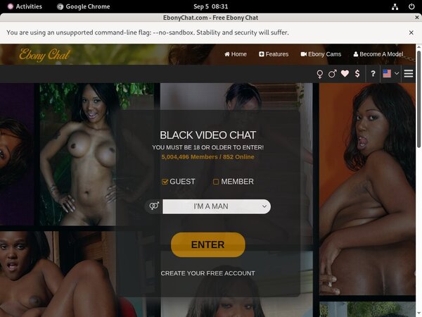 Ebony Chat Password Info