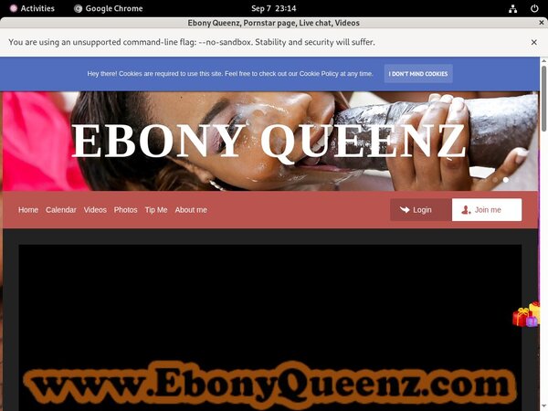 Ebony Queenz Porn Hub