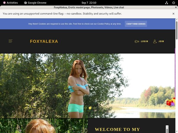FoxyAleksa Account Passwords