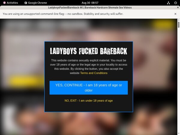 Free Ladyboys Fucked Bareback Preview