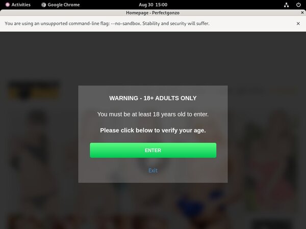 Free Perfect Gonzo User And Pass