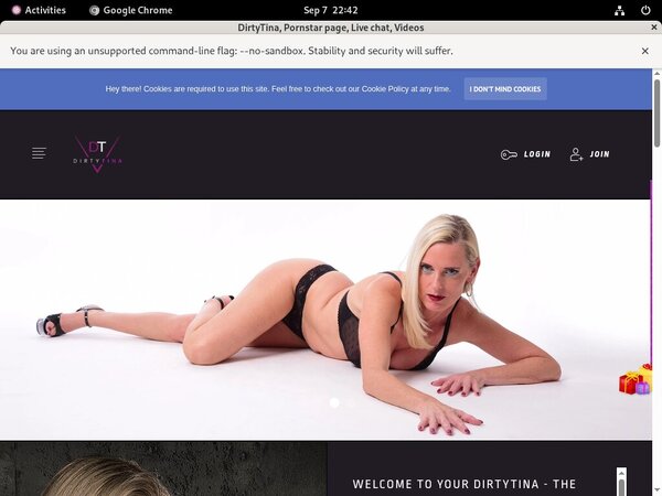 Free Working DirtyTina Logins