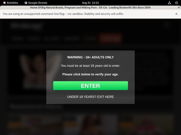 Free Working XX-Cel Logins