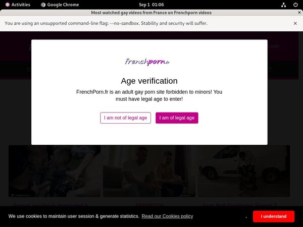 French Porn Gay Latest Passwords