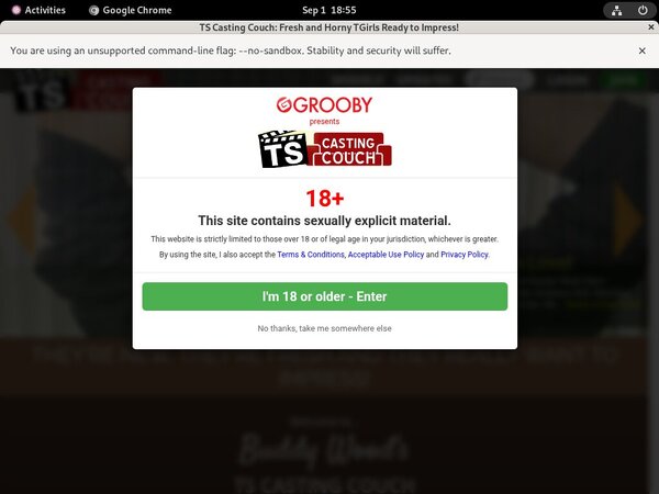 Fresh Tscastingcouch Site Rip
