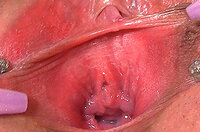 Gapemypussy Porn Clips s1