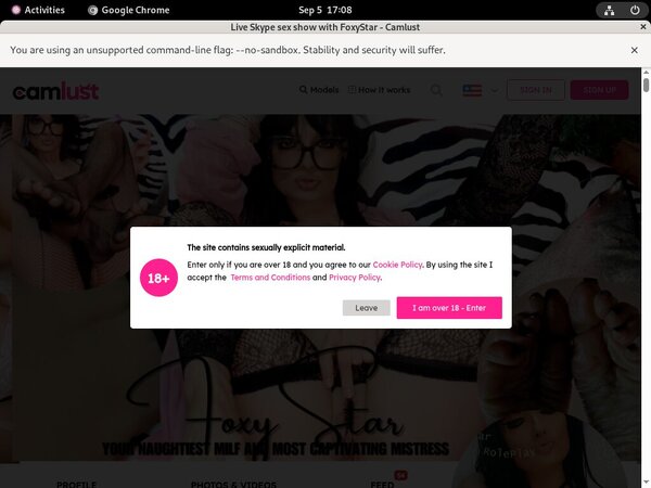 Get A Free Foxy Star Password