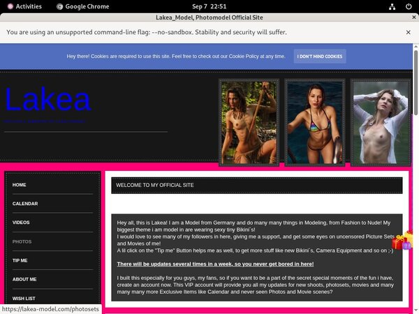 Get A Free Lakea-model.com Login
