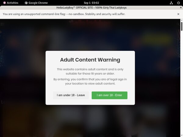 Helloladyboy.com ?????