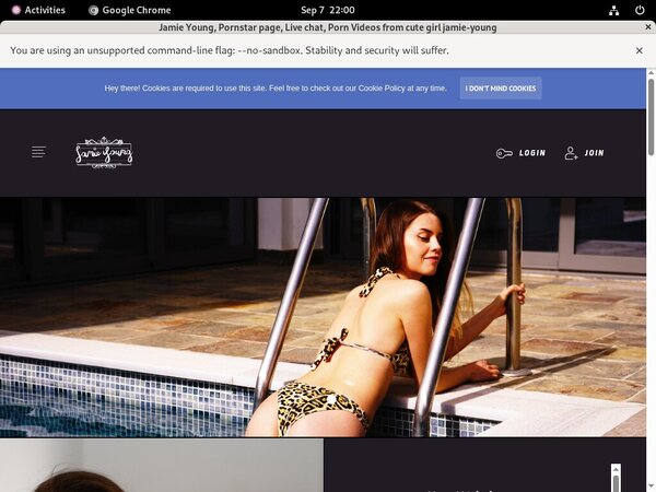Jamieyoung Checkout Form