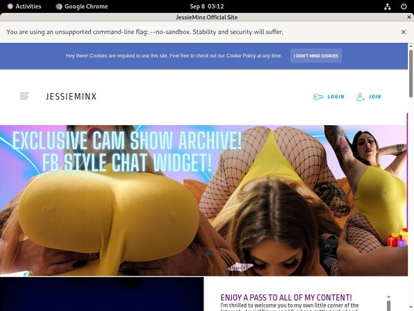 JessieMinx Xxx Passwords