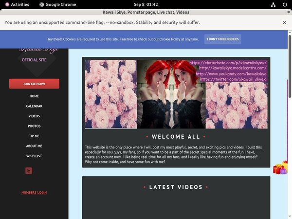 Kawaii Skye Pornhub