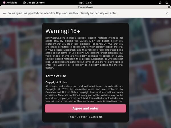 Kimswallows Password List