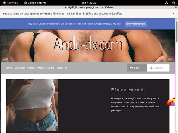 Login Andy-d.modelcentro.com Free Trial