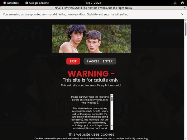 Nasty Twinks Com Logins