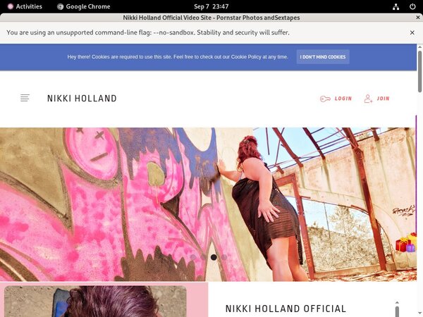 NikkiHolland Premium Password