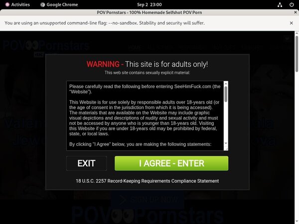 POV Pornstars Free Login And Password