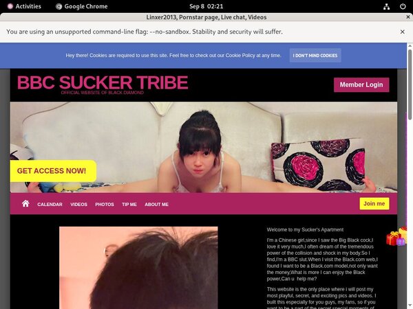 Passwords Linxer2013