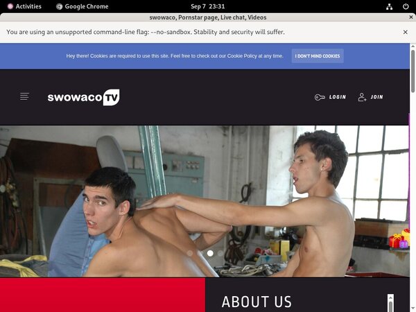Passwords Swowaco Free