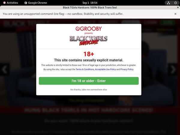 Premium Black TGirls Hardcore Pass