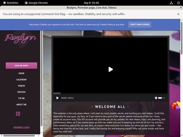 Rozlynn.modelcentro.com 2019