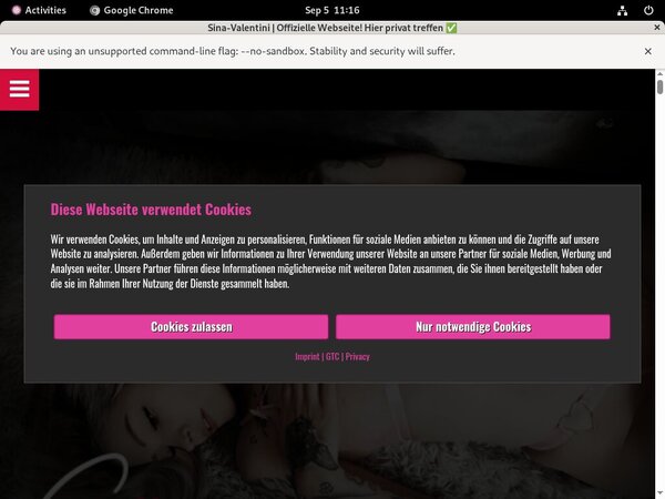 SinaValentini Logins Free