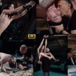 Subspaceland.com Discount Form