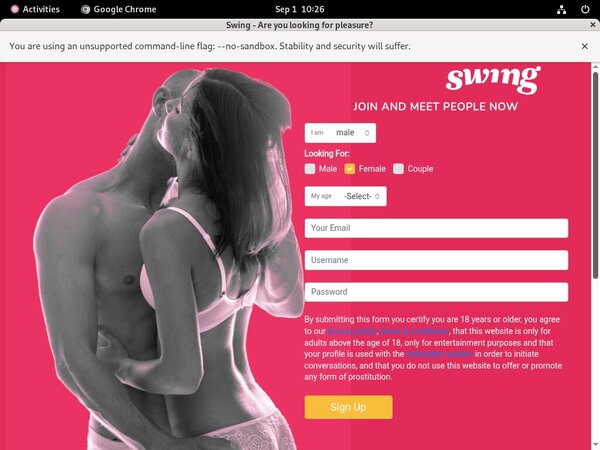 Swing.net Passwords Blog