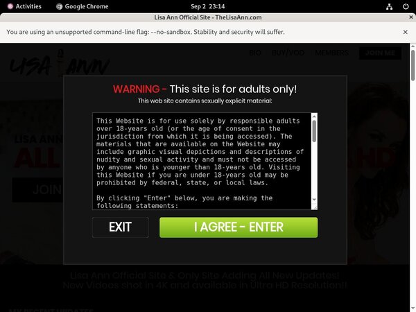 Thelisaann.com Accounts Working