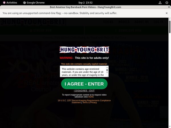 Try Hungyoungbrit.com For Free