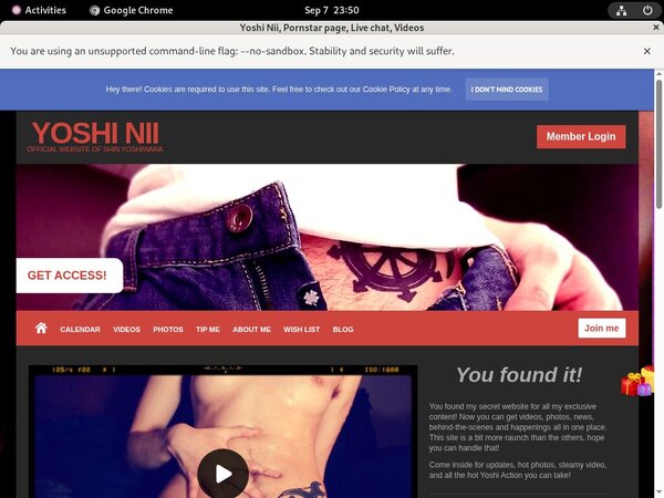 Yoshi Nii Porn Discounts