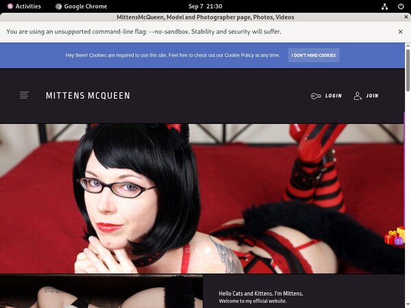 Mittensmcqueen.com 2019