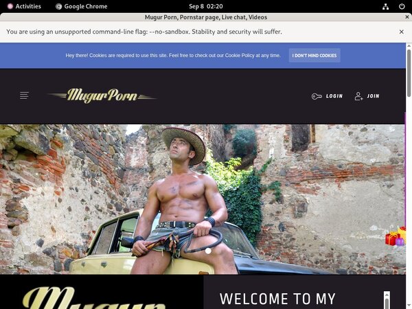 Mugursworld Passcodes